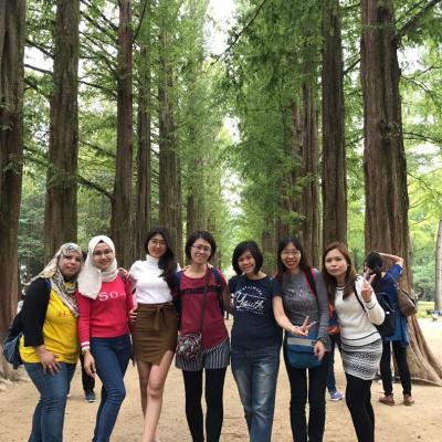 Premium Trip Korea 2017